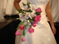/album/la-riviera/orquideas-y-tulipanes-2-jpg/